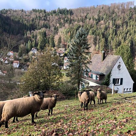 Ferienhaus Waldglueck คาล์ฟ ภายนอก รูปภาพ